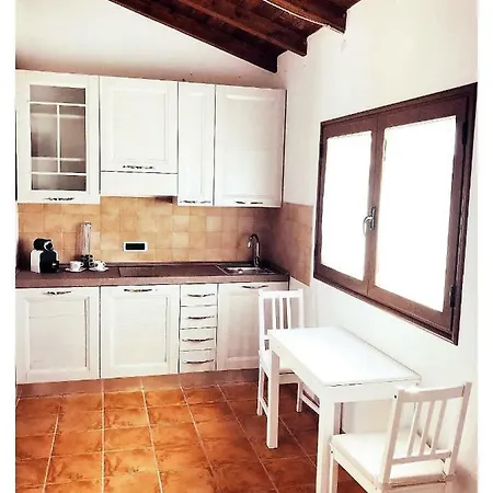 Angela 셀라기우스