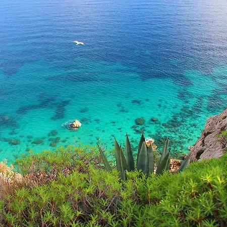 게스트하우스 Angela 3*